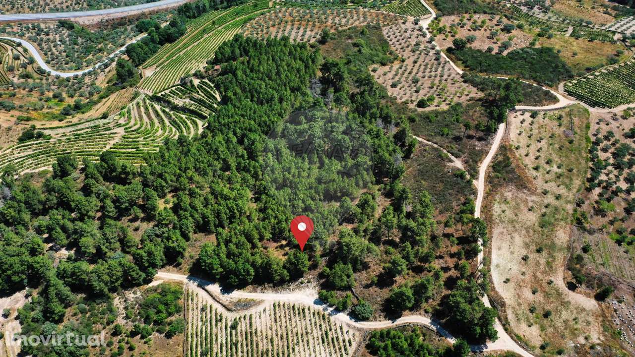 Terreno  para venda - Grande imagem: 5/5