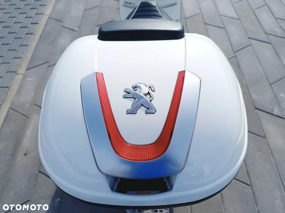 Peugeot Django - 6