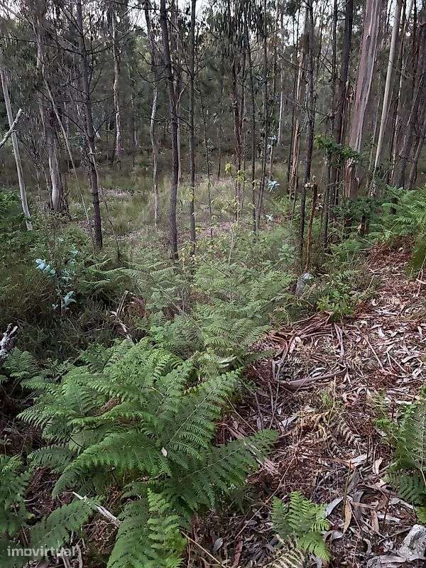 Terreno  para venda - Grande imagem: 5/6
