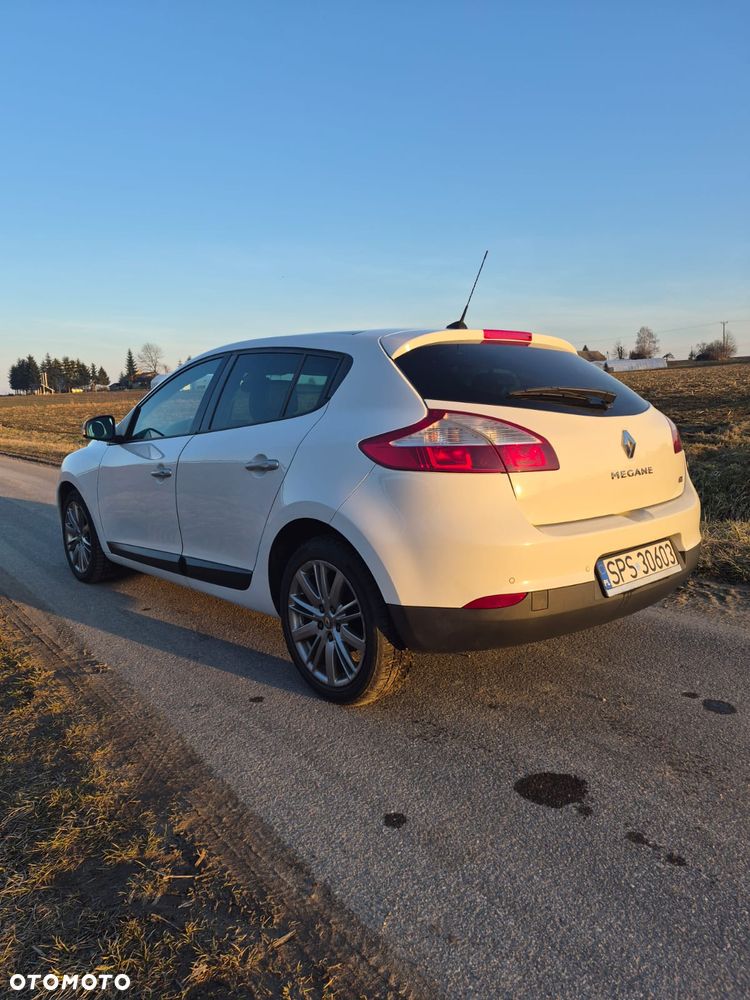 Renault Megane 1.9 dCi Color Edition - 10