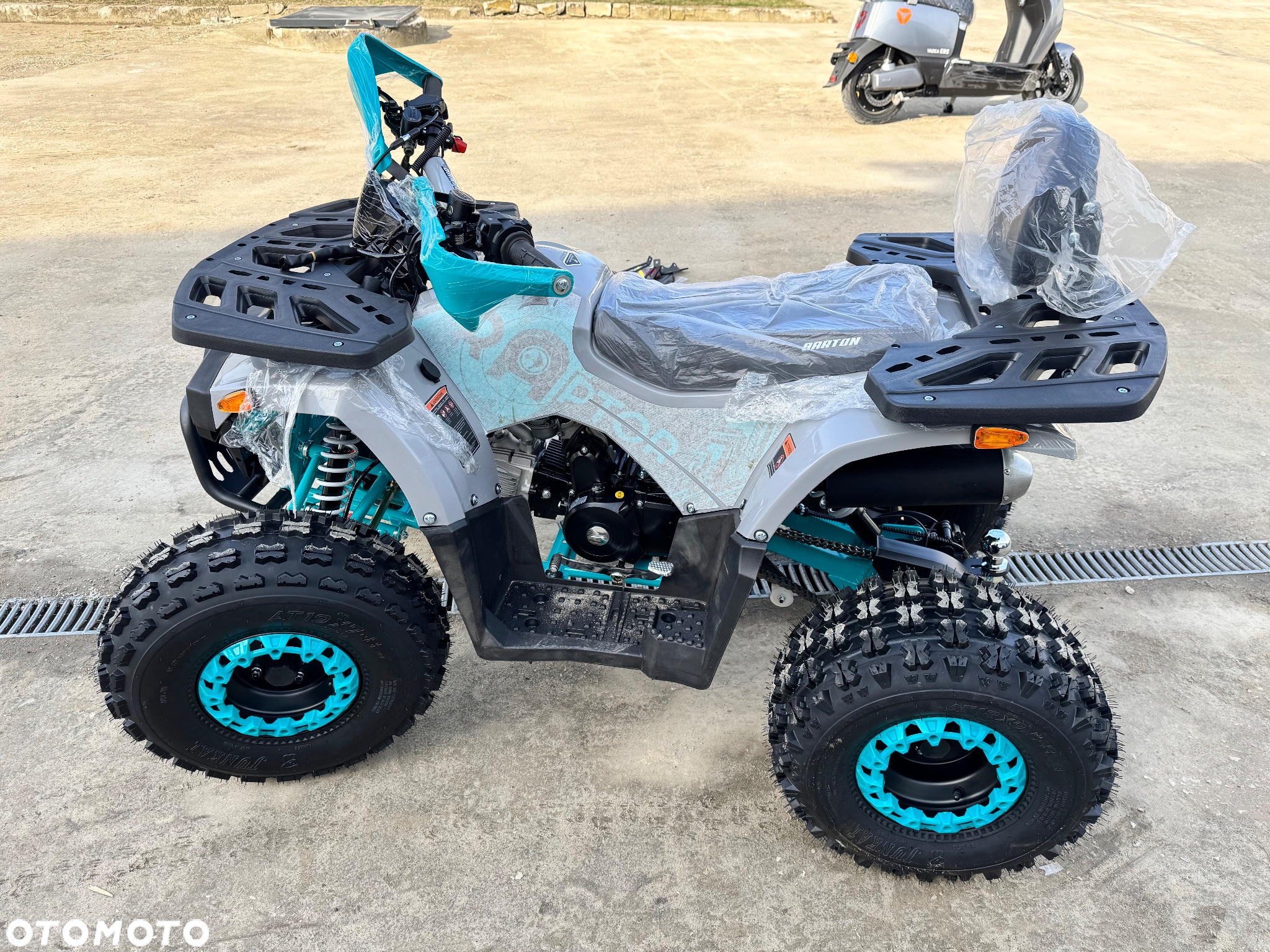 Barton Raptor