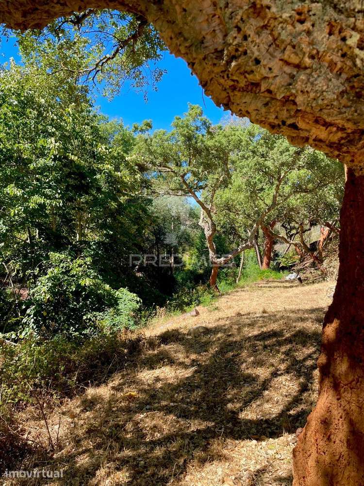 Quinta Rural - Grande imagem: 4/40