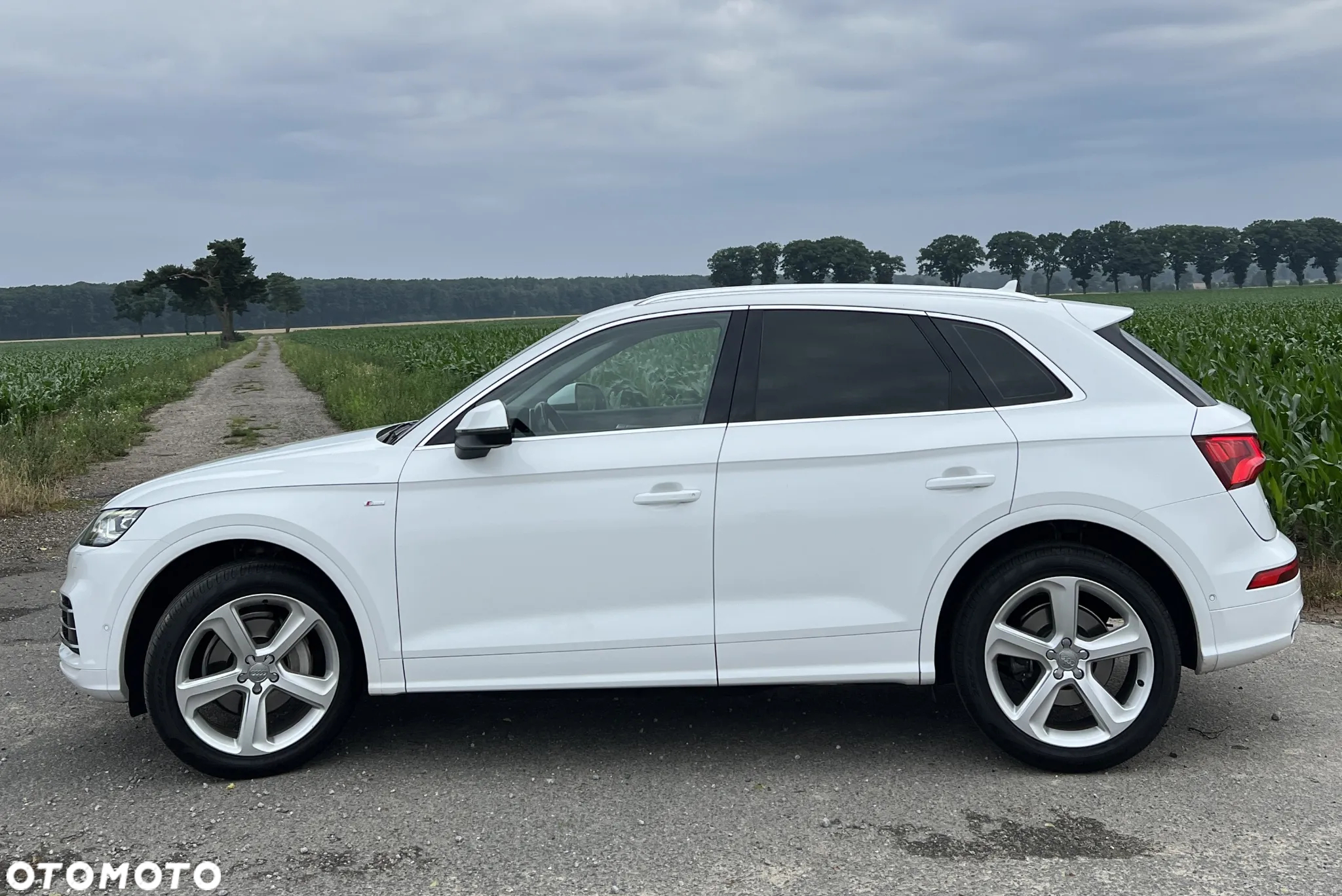 Audi Q5 2.0 TDI Quattro S tronic - 8