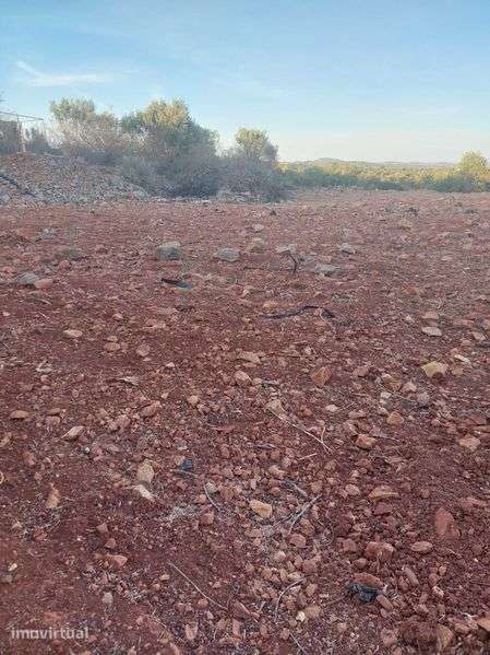 Terreno 40.000 m² ideal para projecto  fotovoltaico - Grande imagem: 4/4