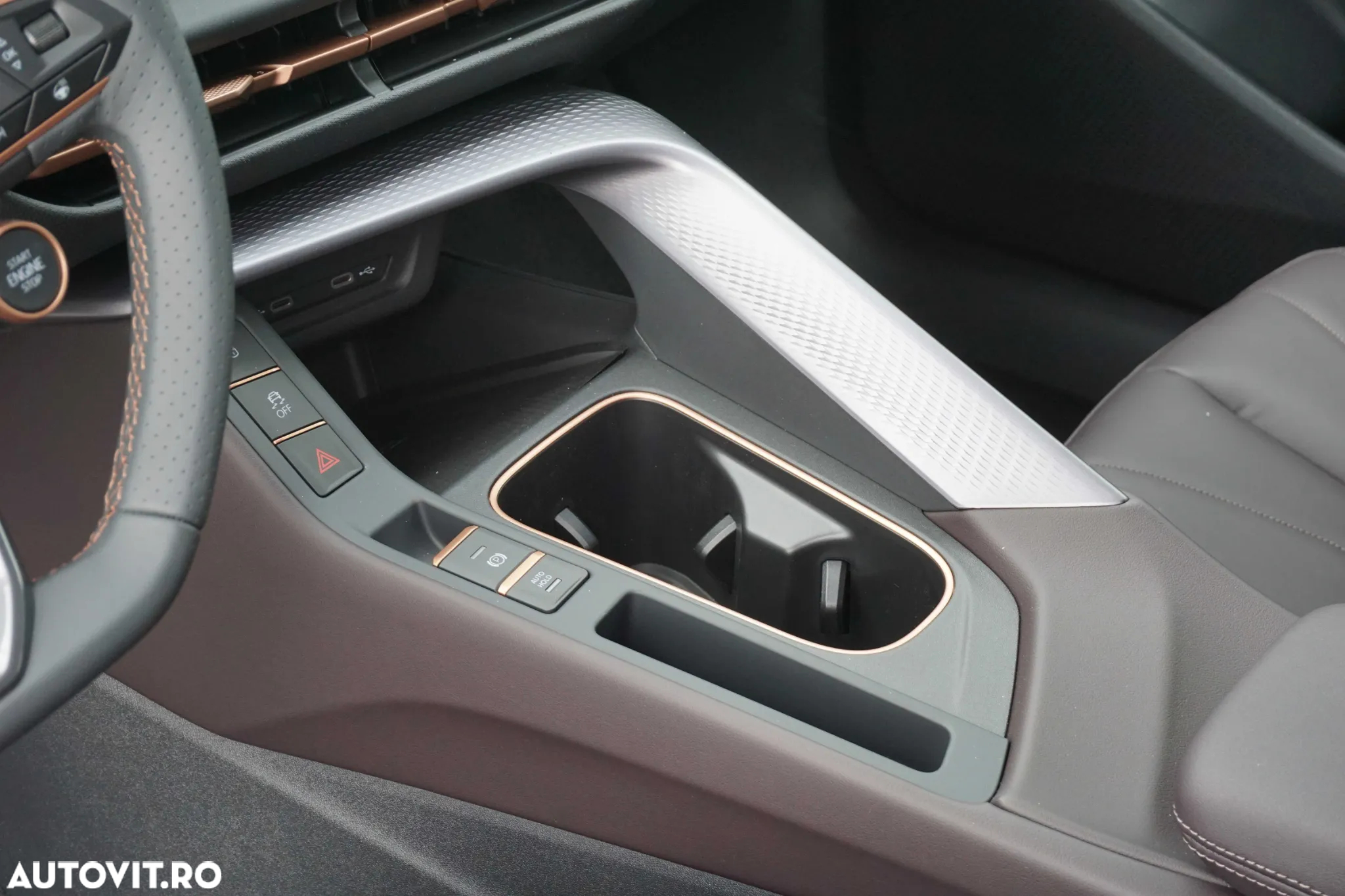 Cupra Terramar - 17