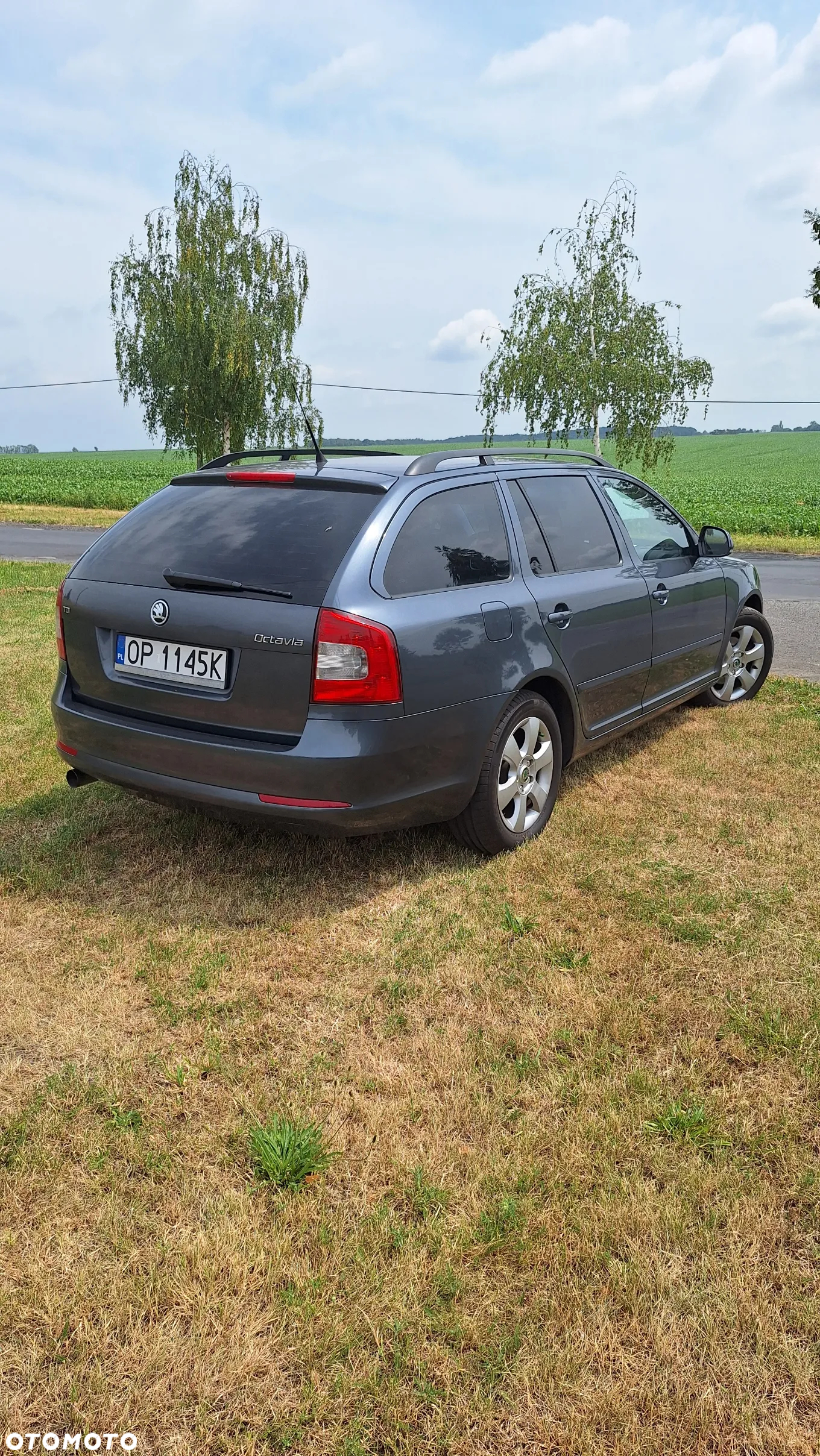 Skoda Octavia Combi 1.6 TDI DPF Classic - 7