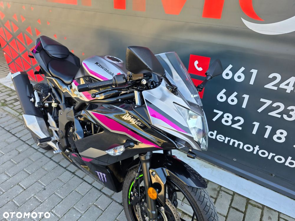 Kawasaki Ninja - 25