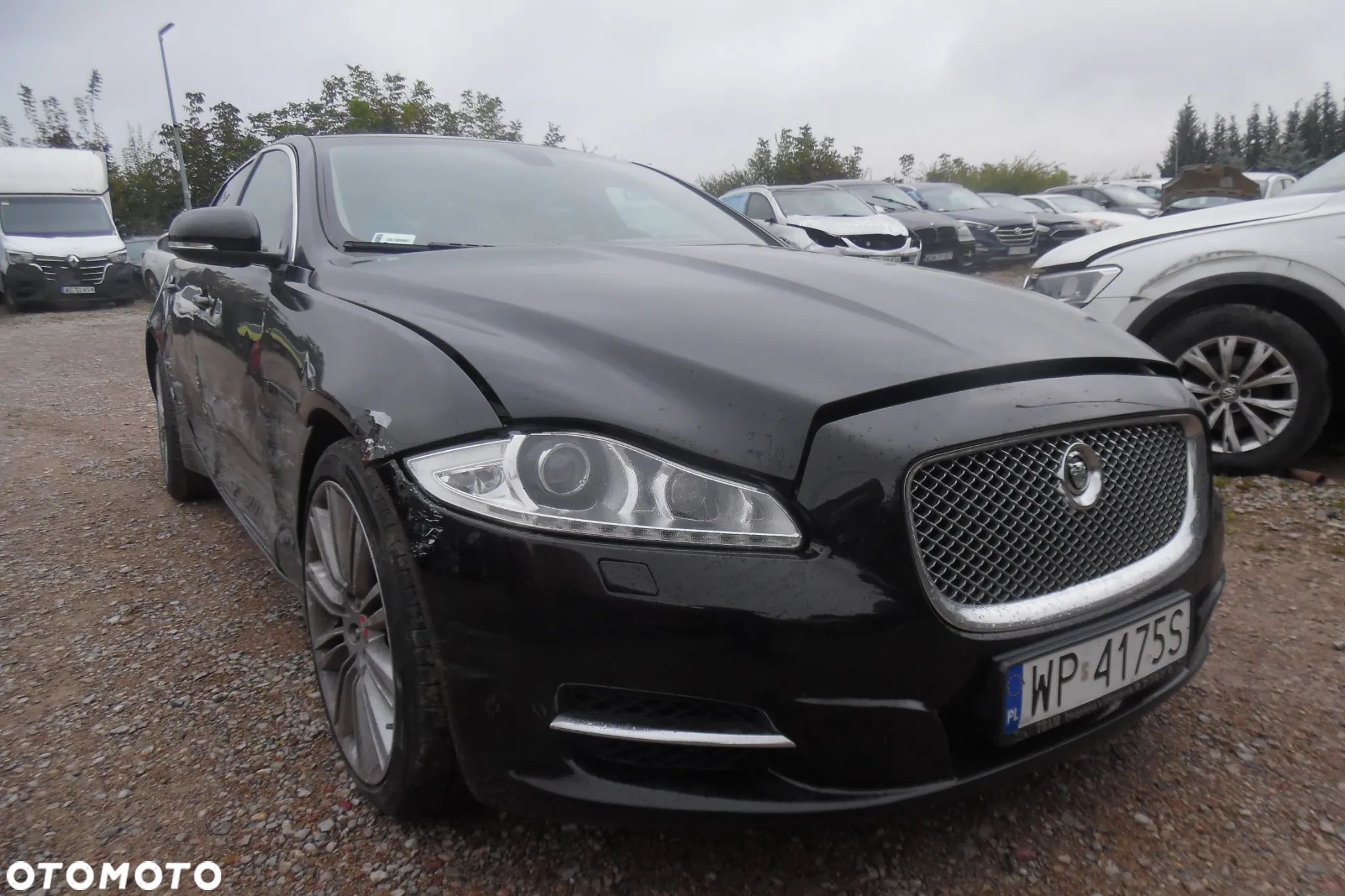 Jaguar XJ 3.0 D V6 Portfolio - 1