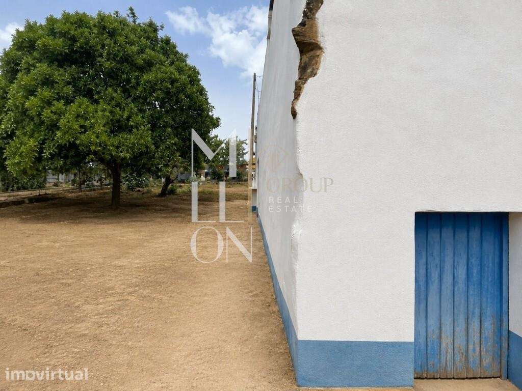 Oportunidade em Montes da Senhora, Proença-a-Nova: Moradia + vários - Grande imagem: 2/23