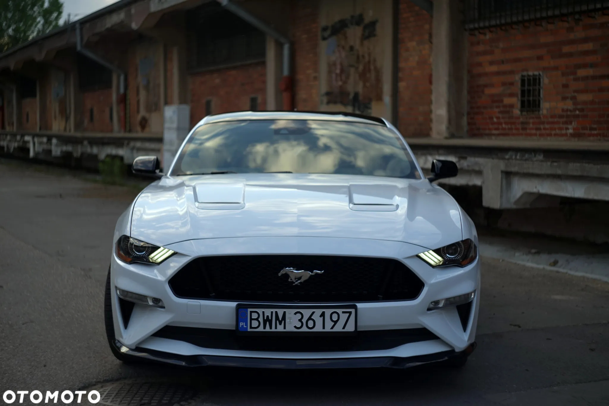 Ford Mustang - 28