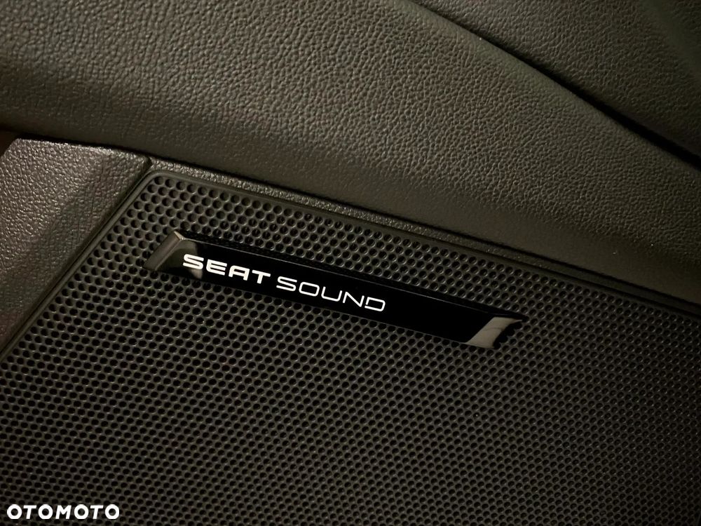 Seat Leon 1.8 TSI Ecomotive DSG FR - 18