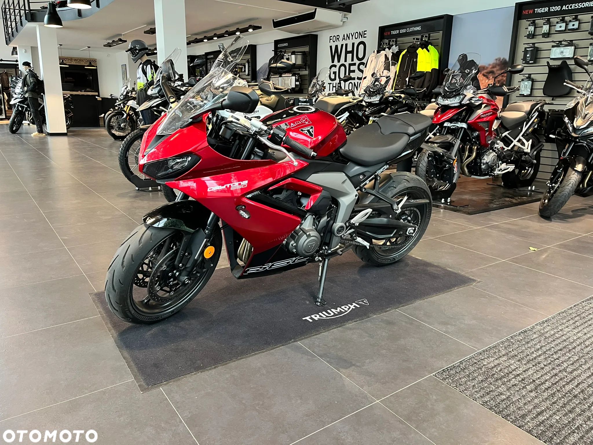 Triumph Daytona - 1