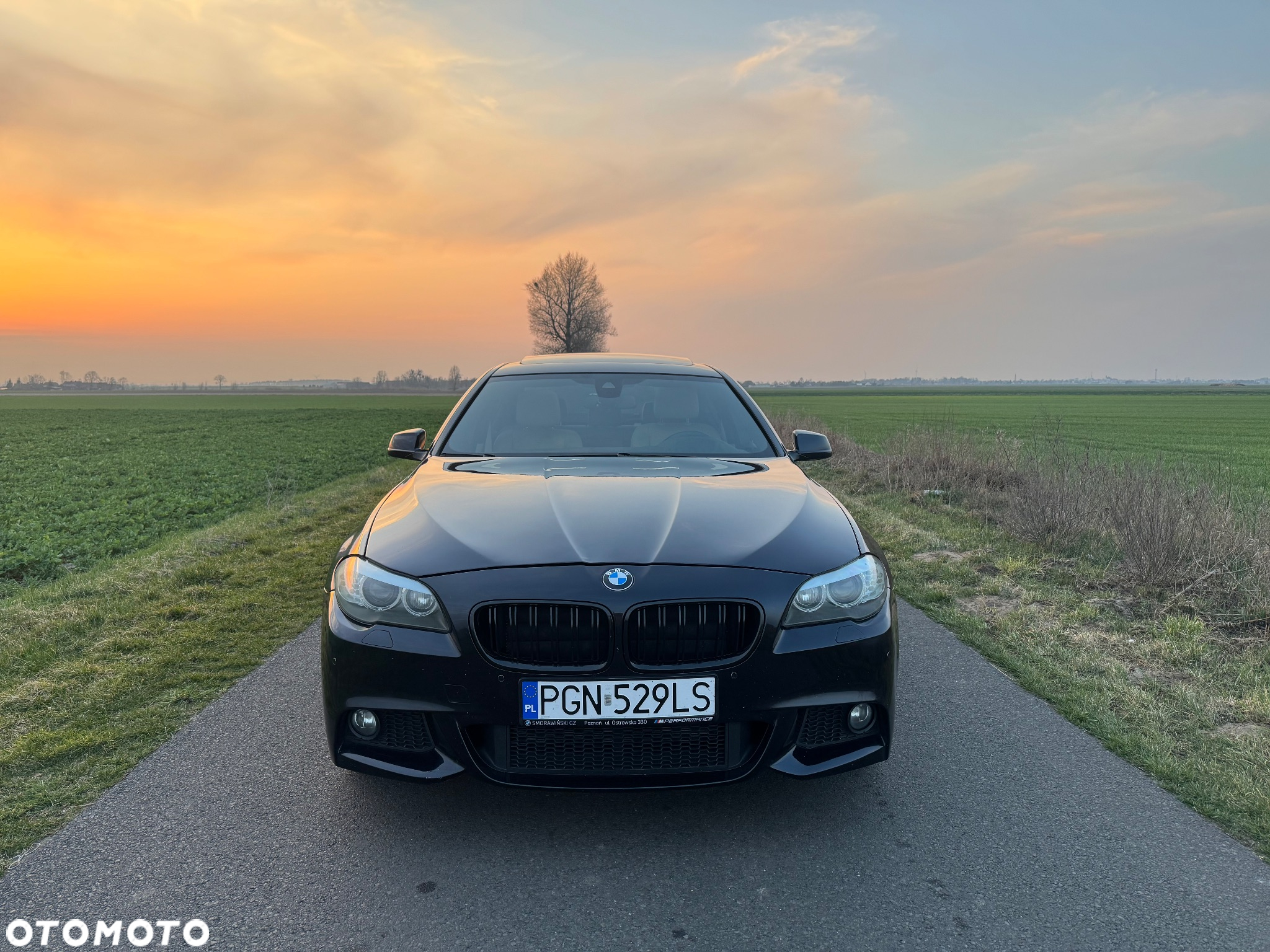 BMW Seria 5 - 2