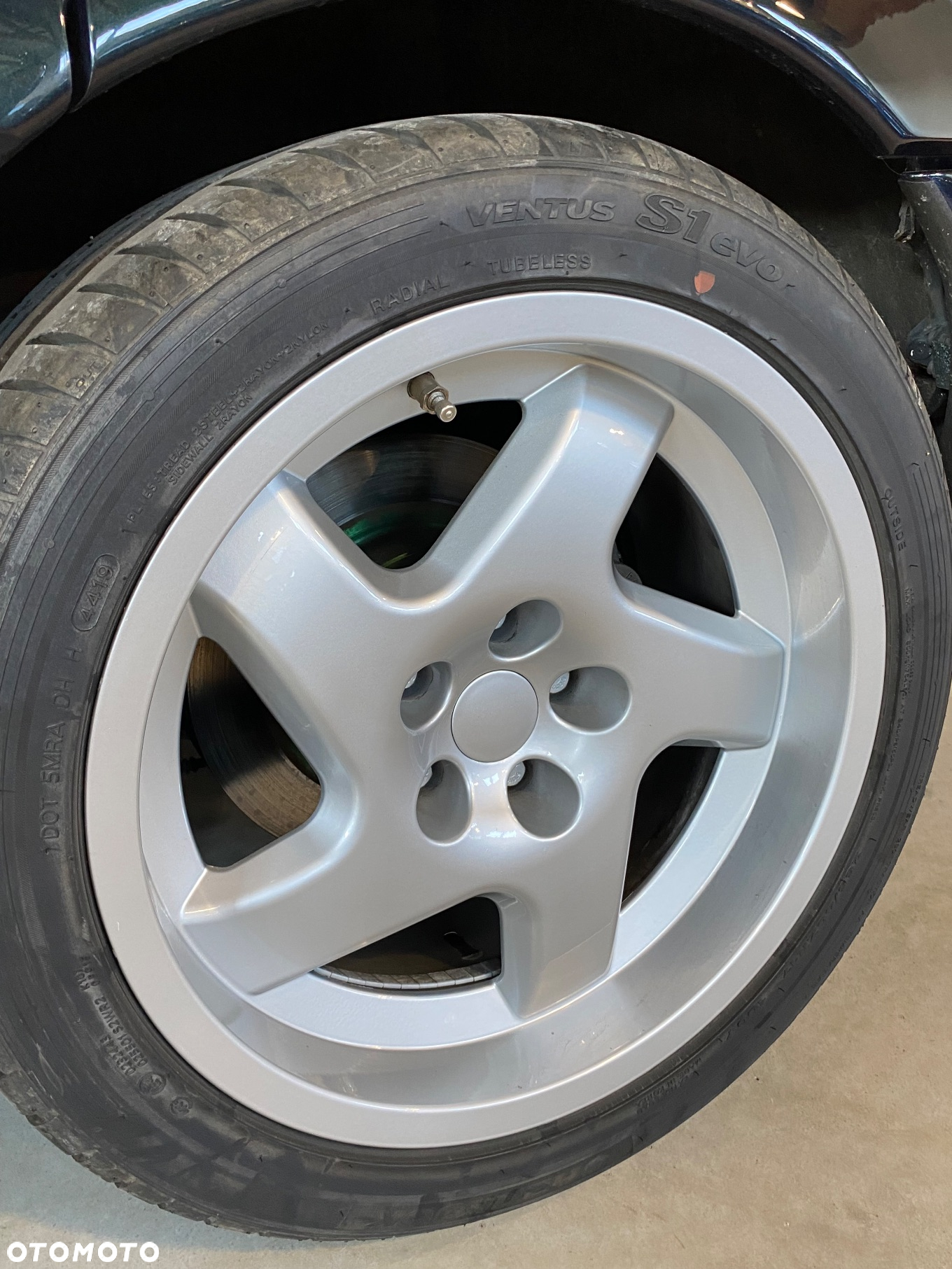 Lotus Inny - 35