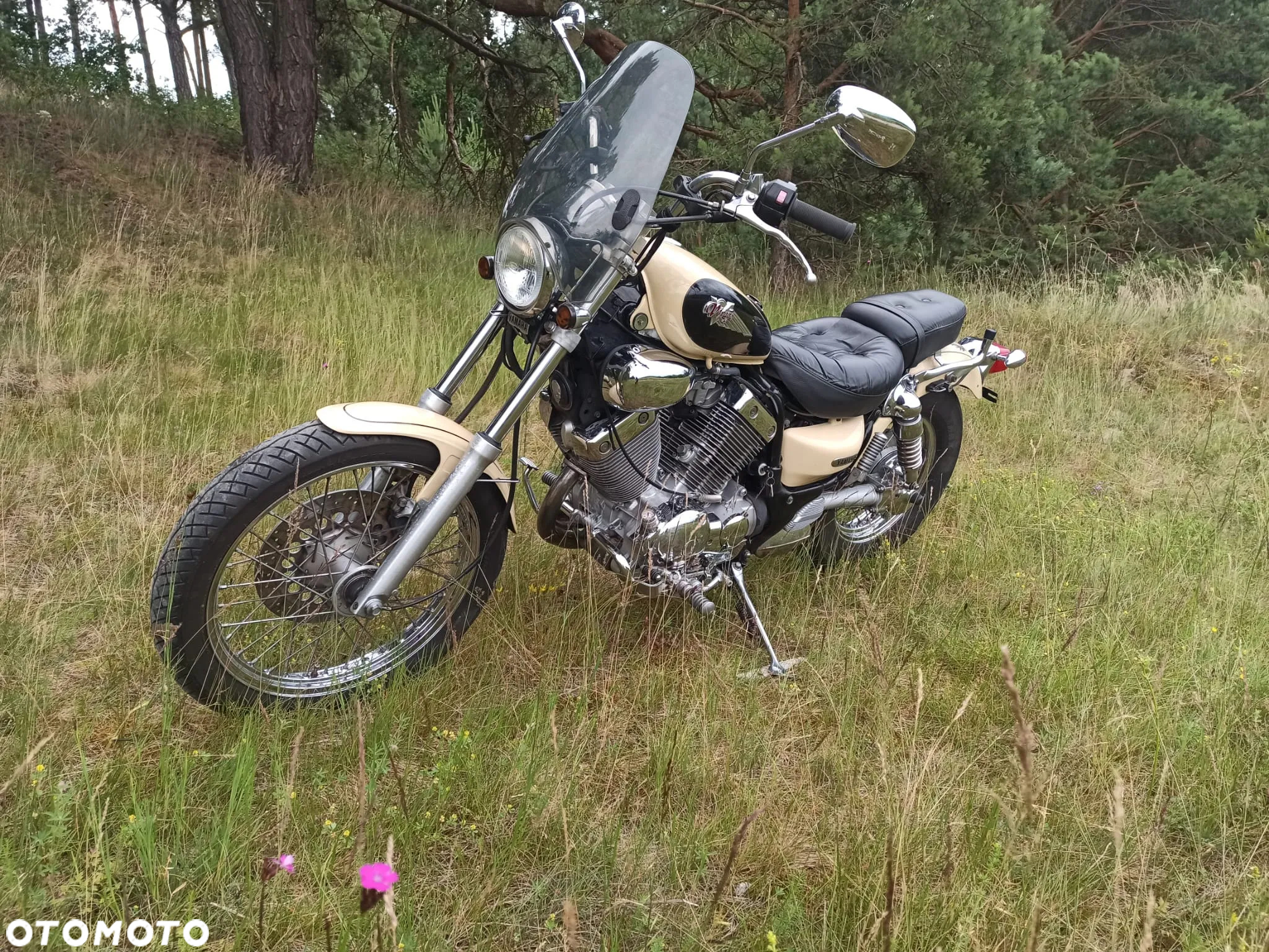 Yamaha Virago - 3