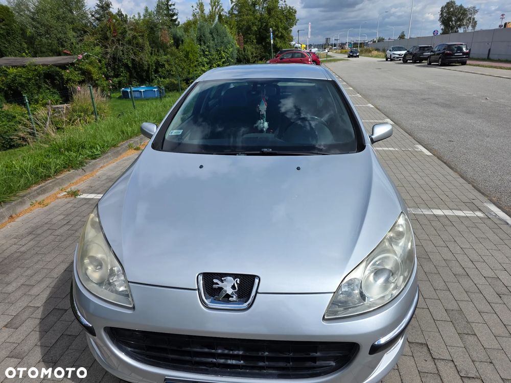 Peugeot 407 - 18