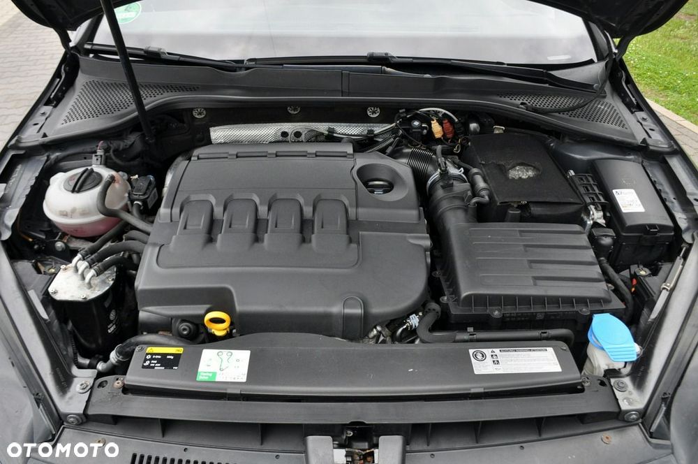 Volkswagen Golf - 39