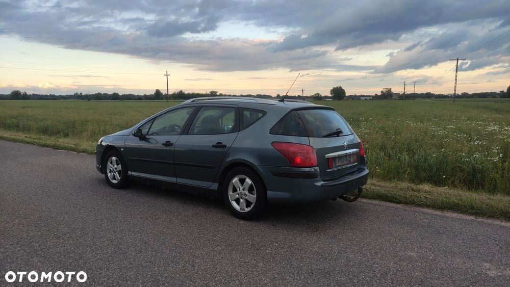 Peugeot 407 - 1