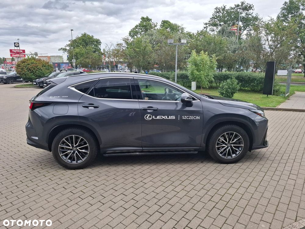 Lexus NX - 6