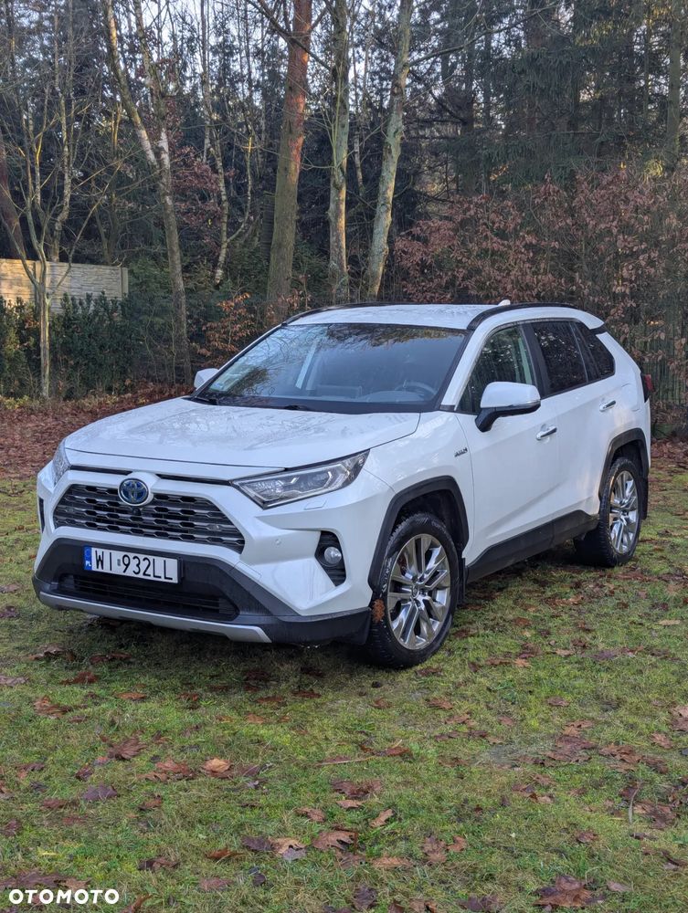 Toyota RAV4 2.5 Hybrid Executive 4x4 - 6