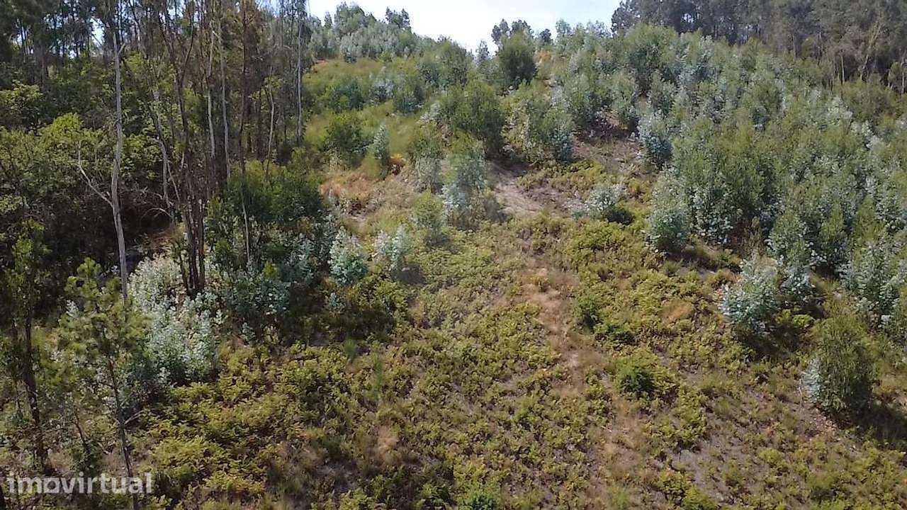 Terreno  para venda - Grande imagem: 2/5
