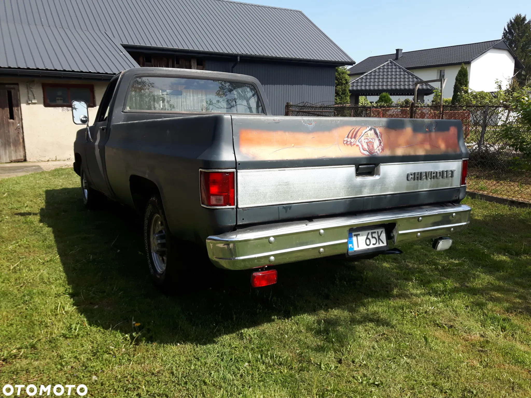 Chevrolet C-20 - 3