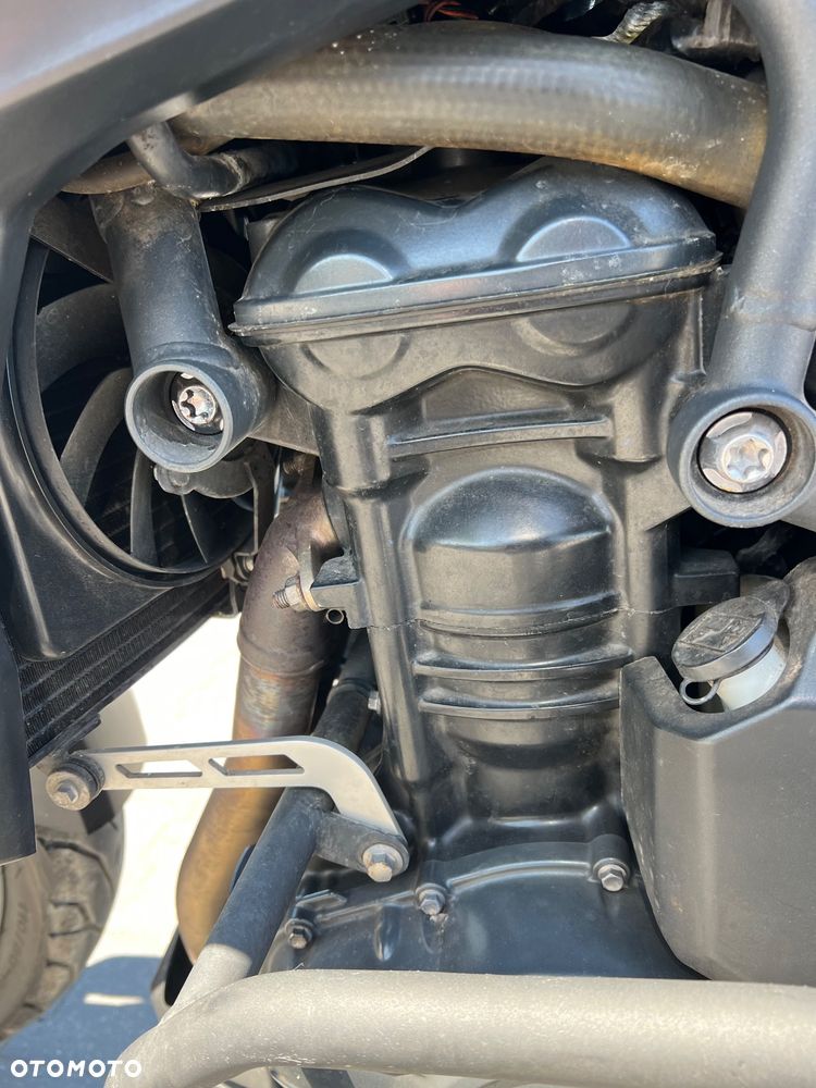 Triumph Tiger - 14