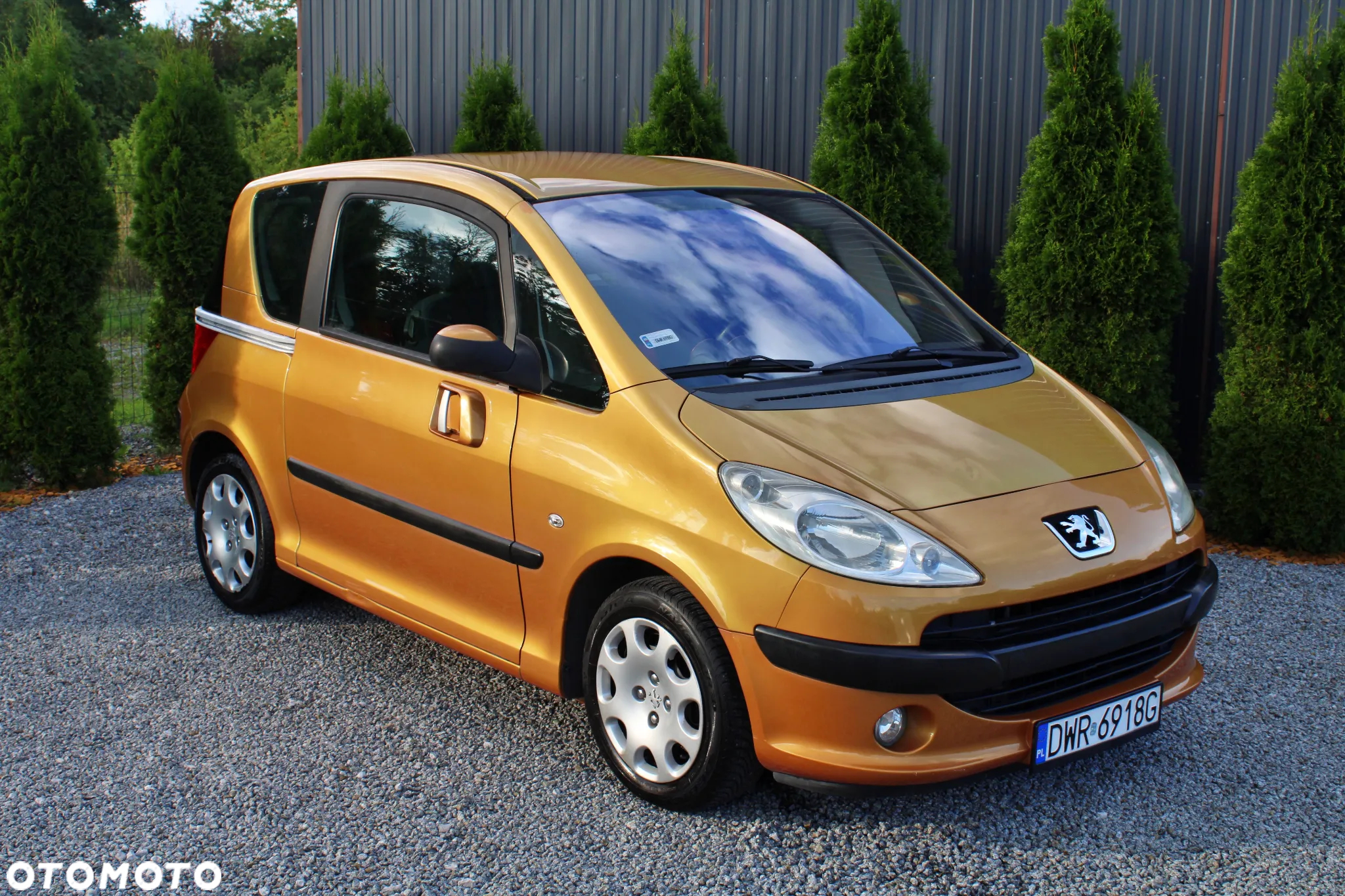 Peugeot 1007 75 Filou - 3