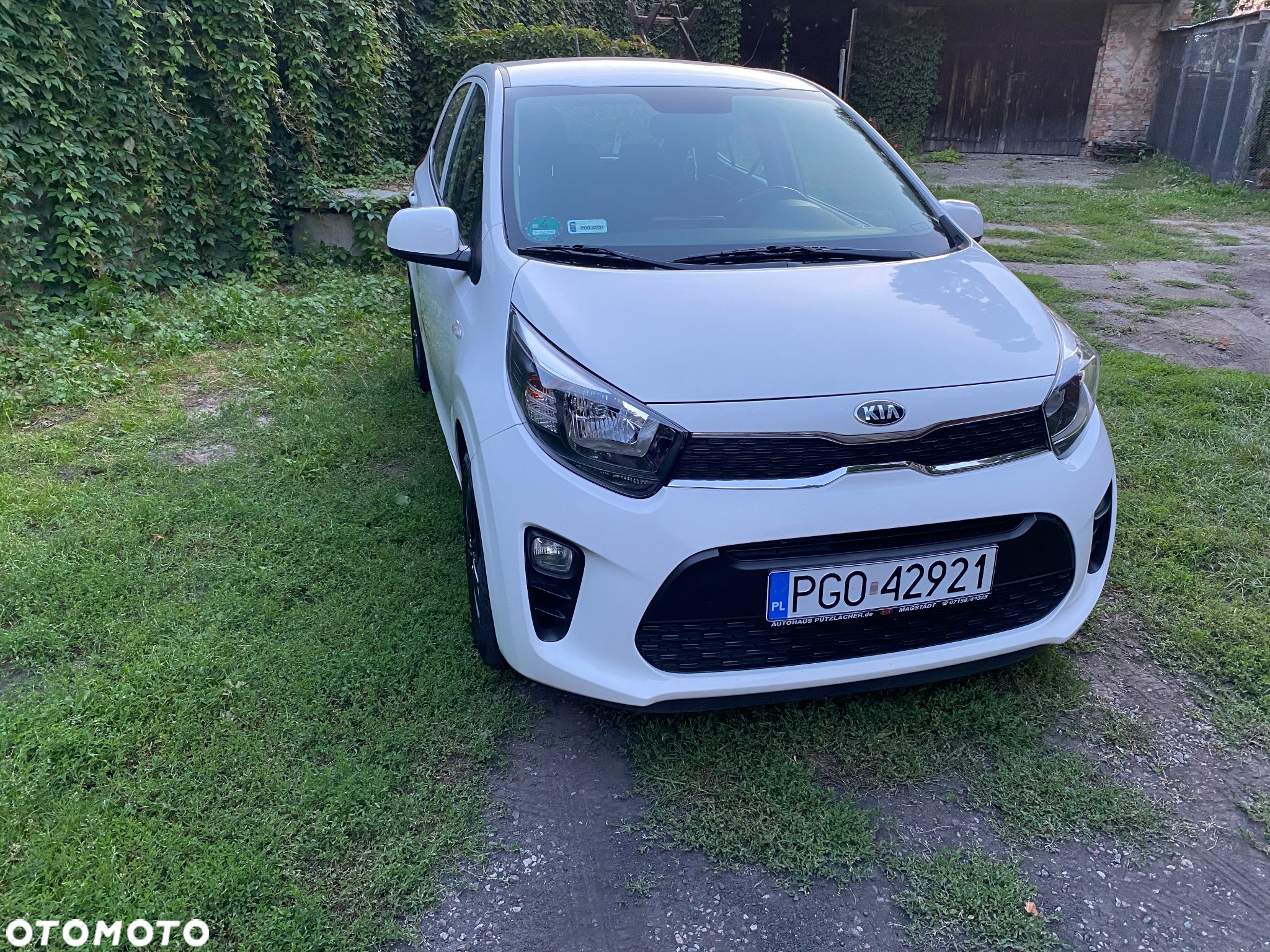 Kia Picanto - 3