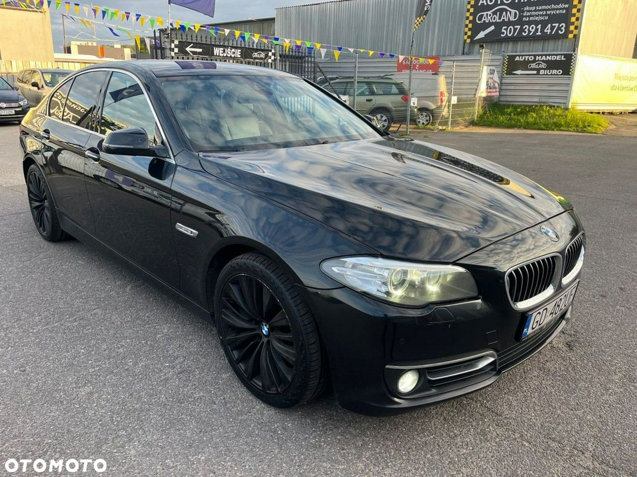 BMW Seria 5 525d xDrive Luxury Line - 29