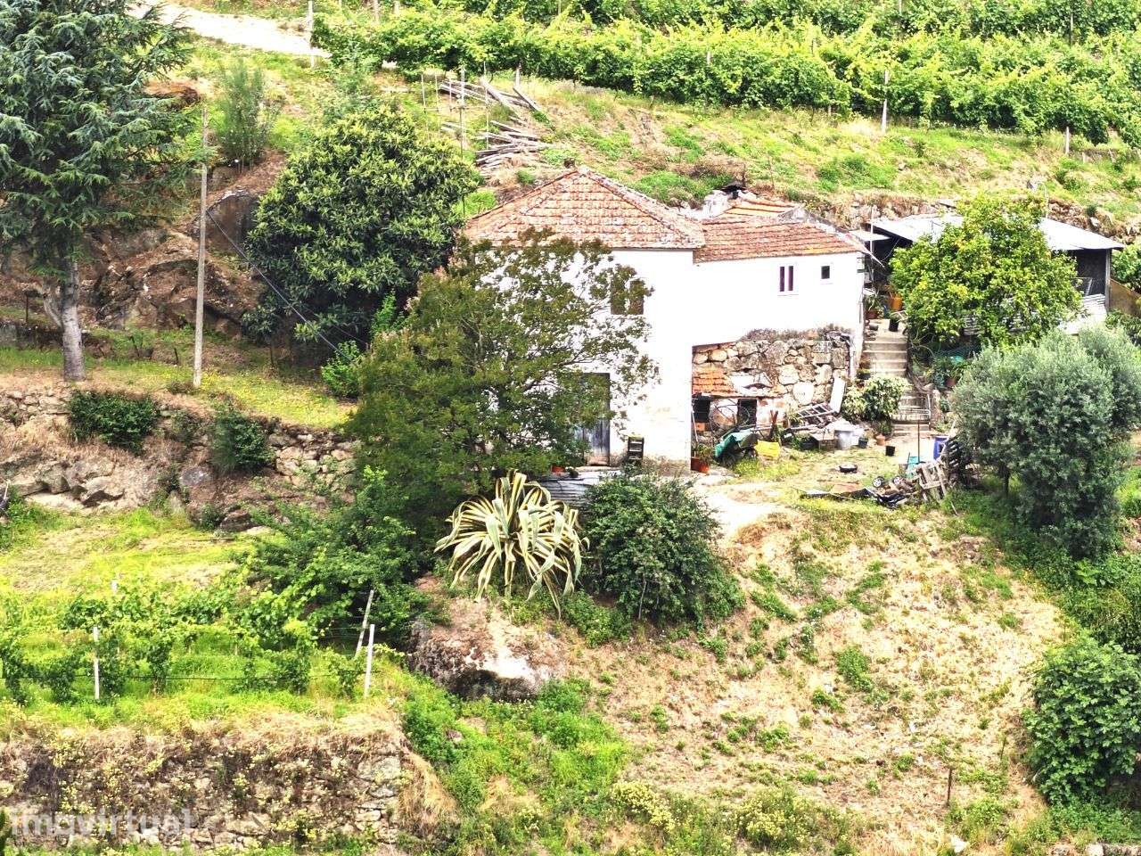 Quinta à venda em Resende, Viseu - Grande imagem: 3/17