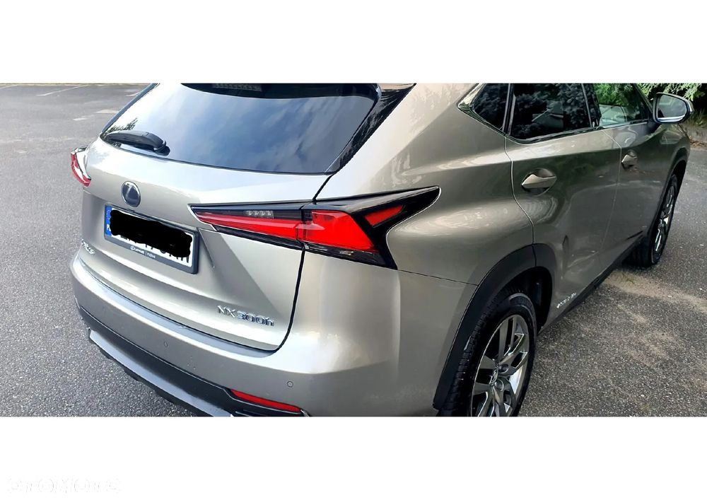 Lexus NX 300h Comfort AWD - 10