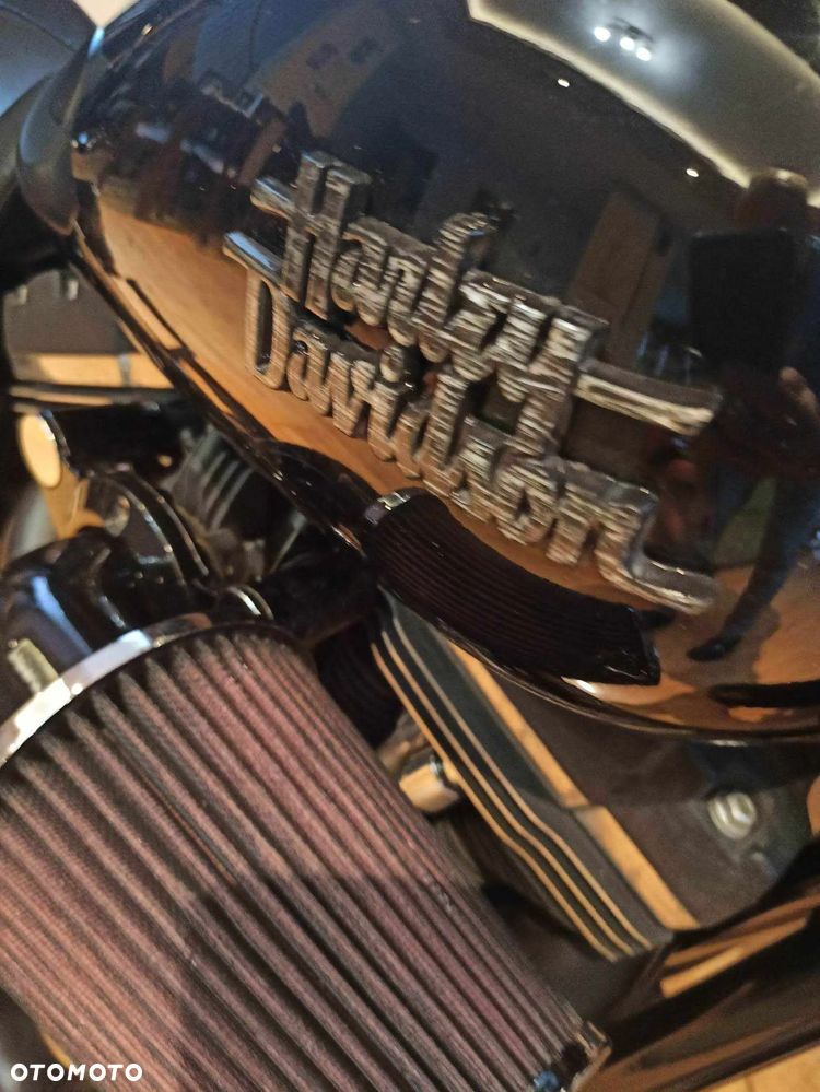 Harley-Davidson Dyna Street Bob - 16