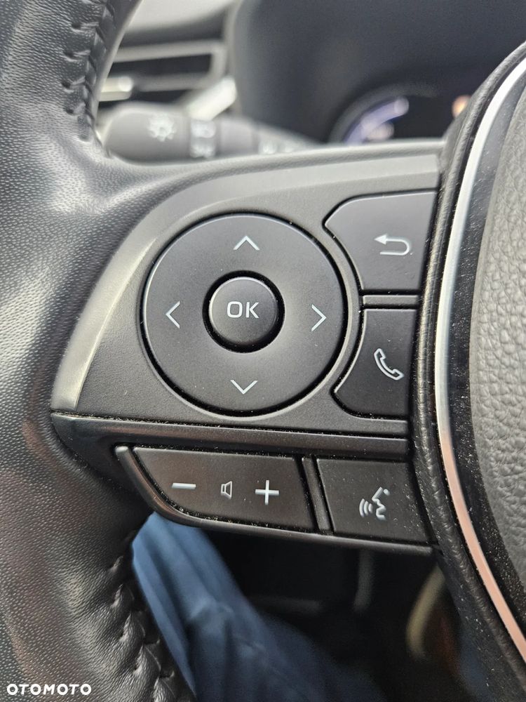 Toyota RAV4 2.5 Hybrid Executive 4x4 - 19