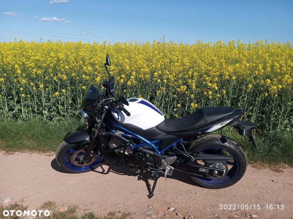 Suzuki SV - 1