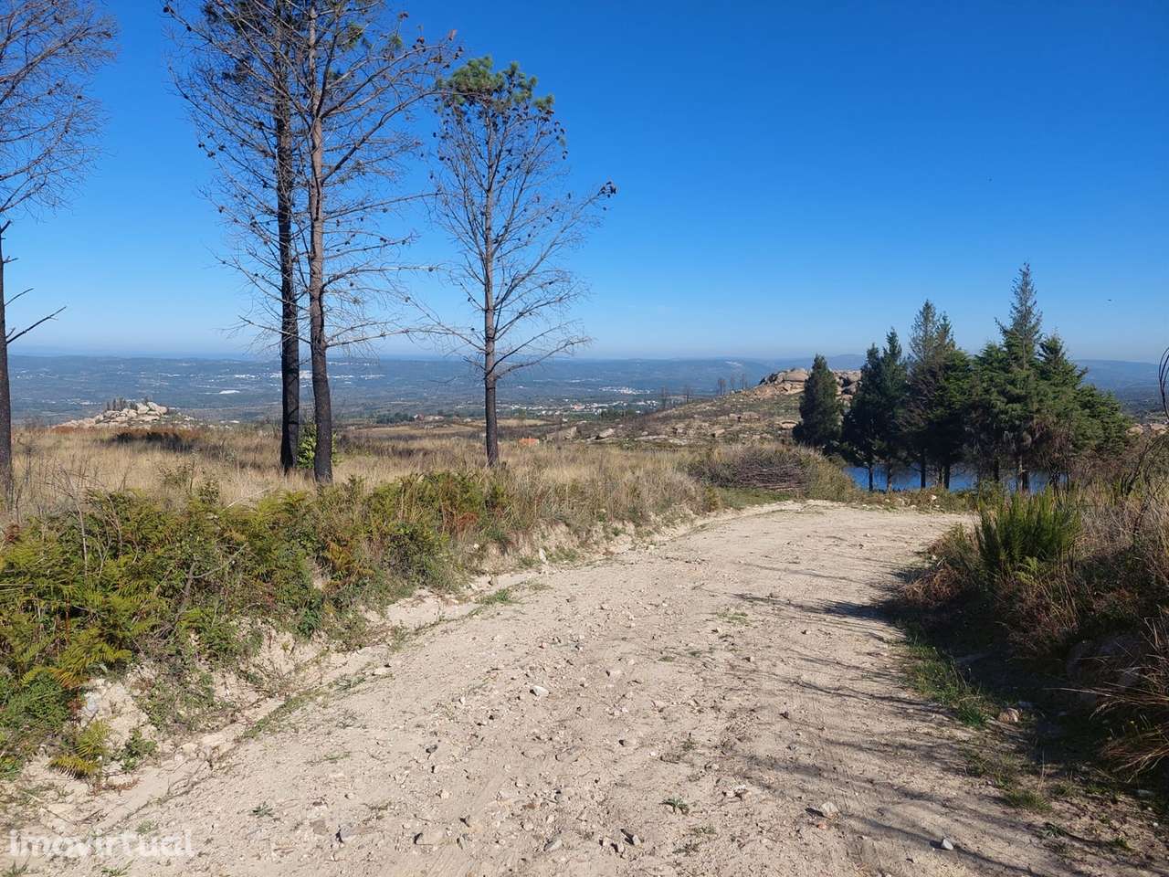 Quinta  Venda em Figueiró da Serra e Freixo da Serra,Gouveia - Grande imagem: 2/16