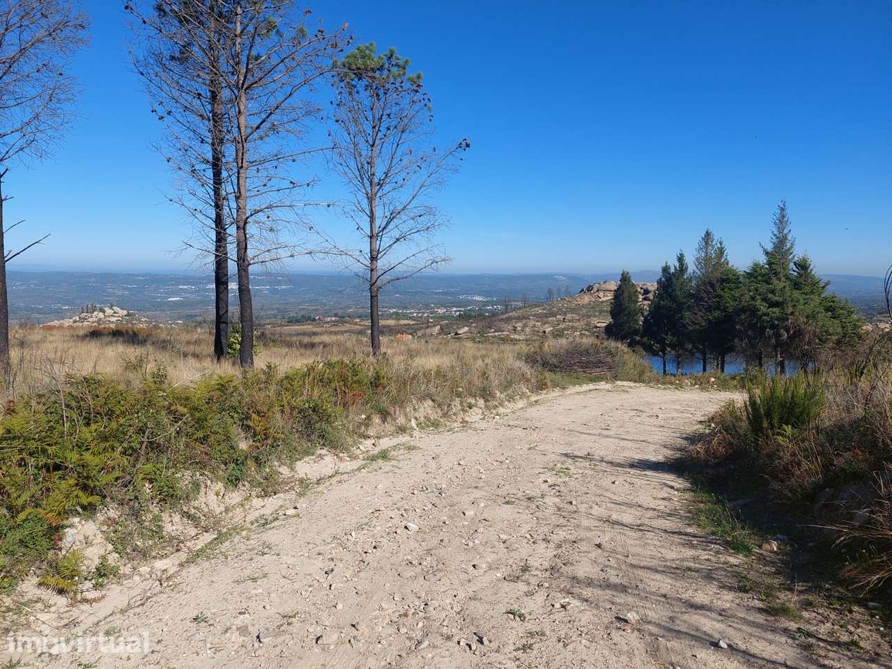 Quinta  Venda em Figueiró da Serra e Freixo da Serra,Gouveia - Grande imagem: 2/16