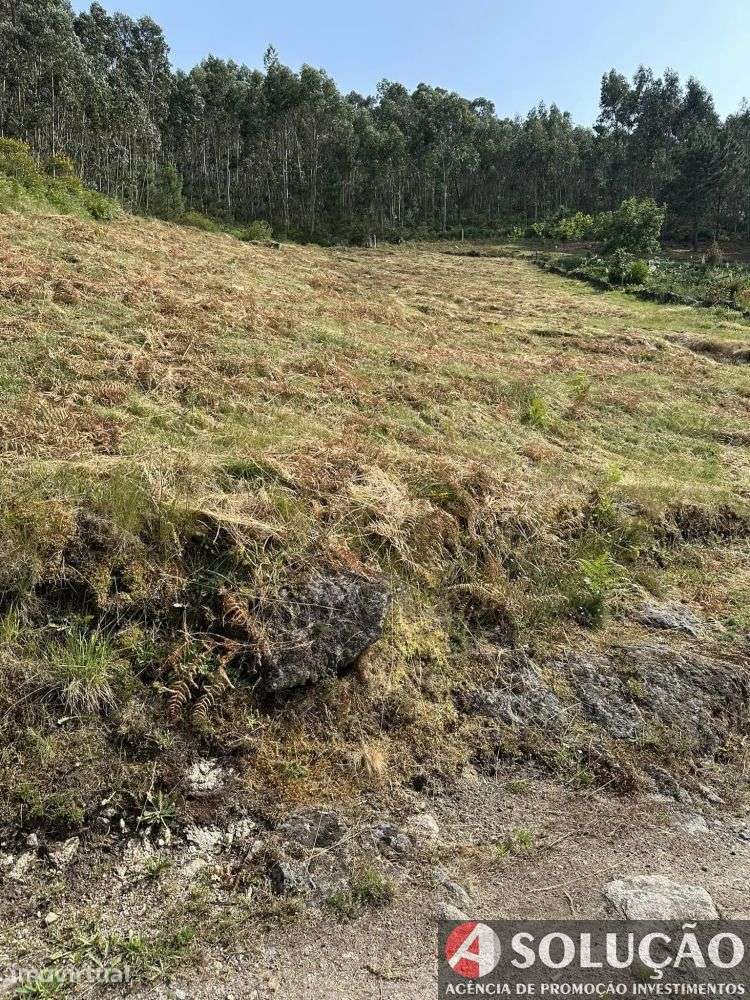 Terreno rustico c/vistas panorâmicas - Grande imagem: 4/7