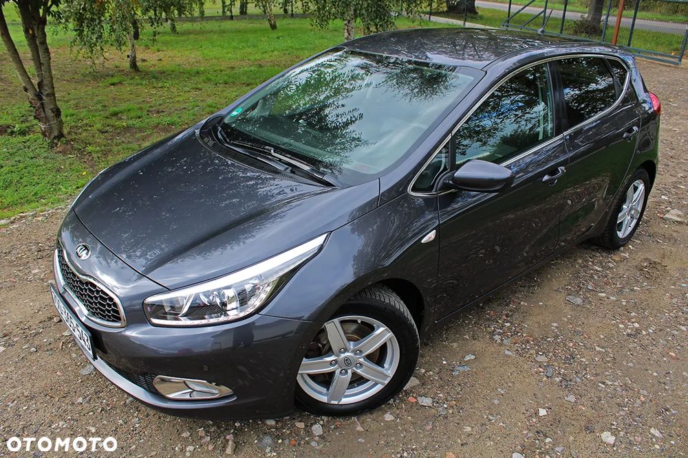 Kia Ceed 1.6 CRDi 128 Fifa World Cup Edition - 31