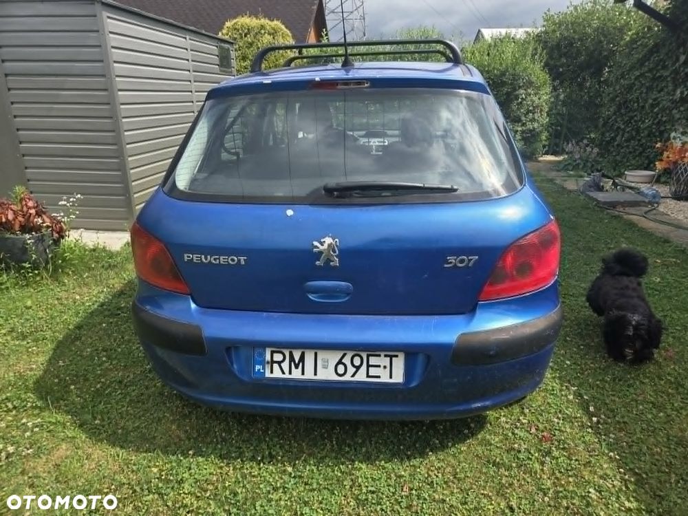 Peugeot 307 1.6 XS Class - 4