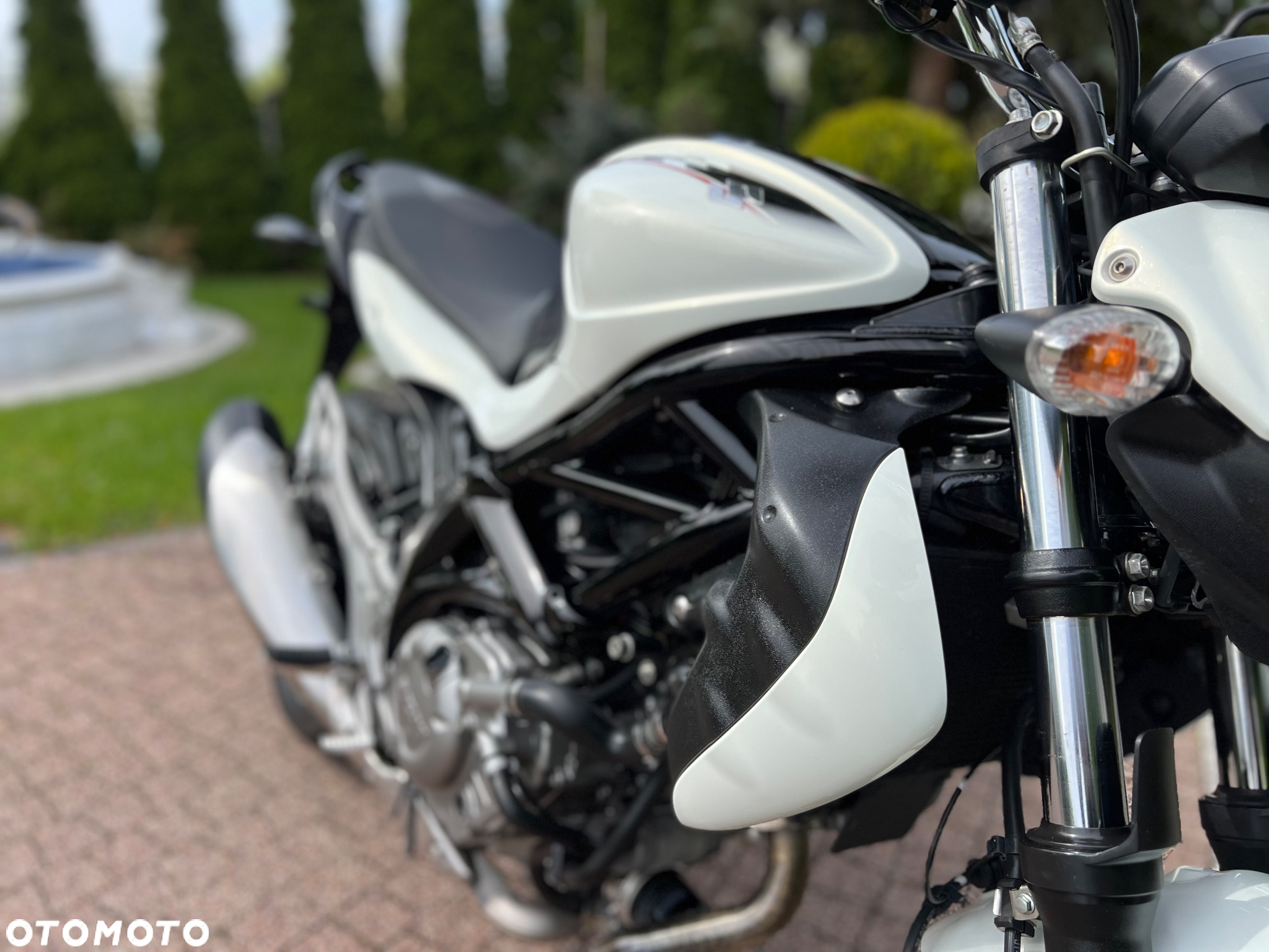 Suzuki Gladius - 5