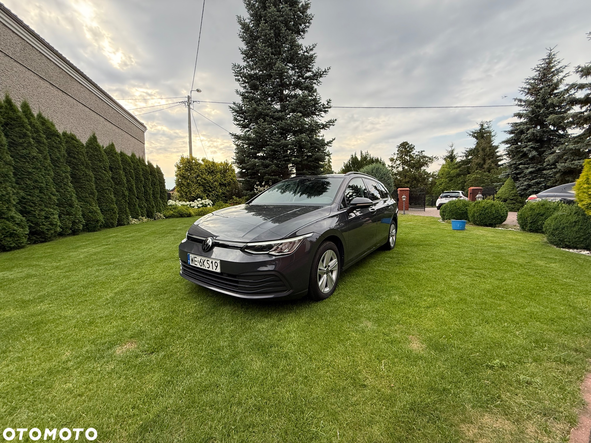Volkswagen Golf VIII 1.0 TSI Life - 2