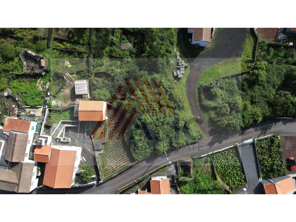 Terreno c/Viabilidade Construção, Candelária, Madalena Pico - Grande imagem: 4/11