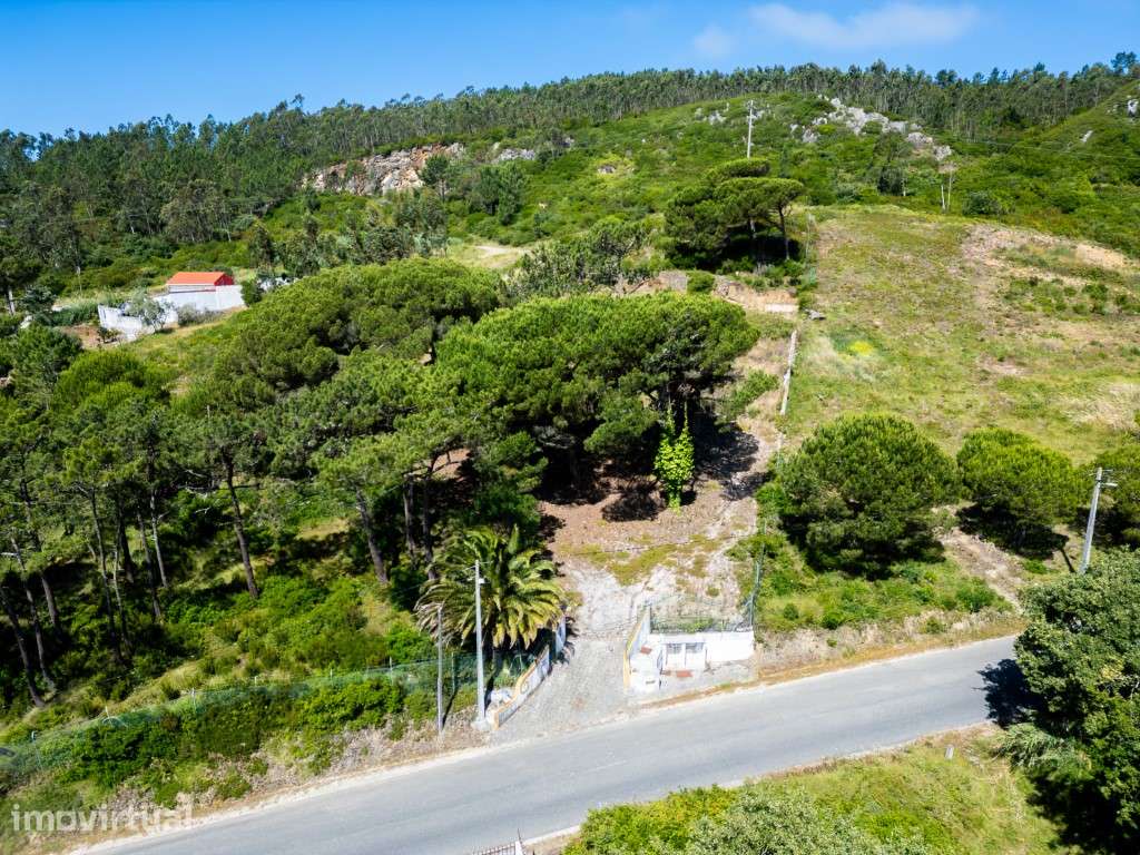 Terreno para construção em zona urbanizável-Famalicão-Nazaré - Grande imagem: 3/8