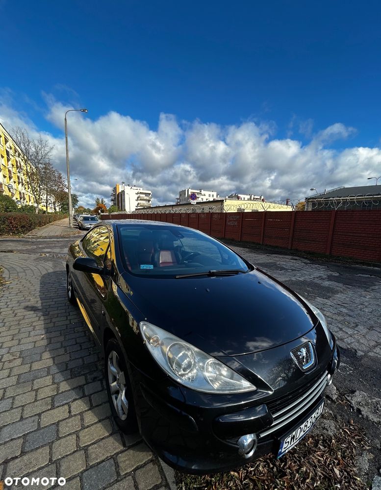 Peugeot 307 CC 2.0 - 8