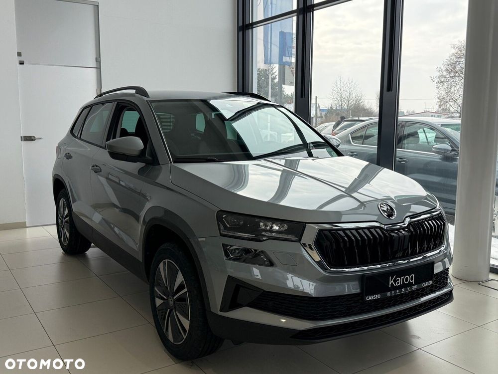 Skoda Karoq - 2