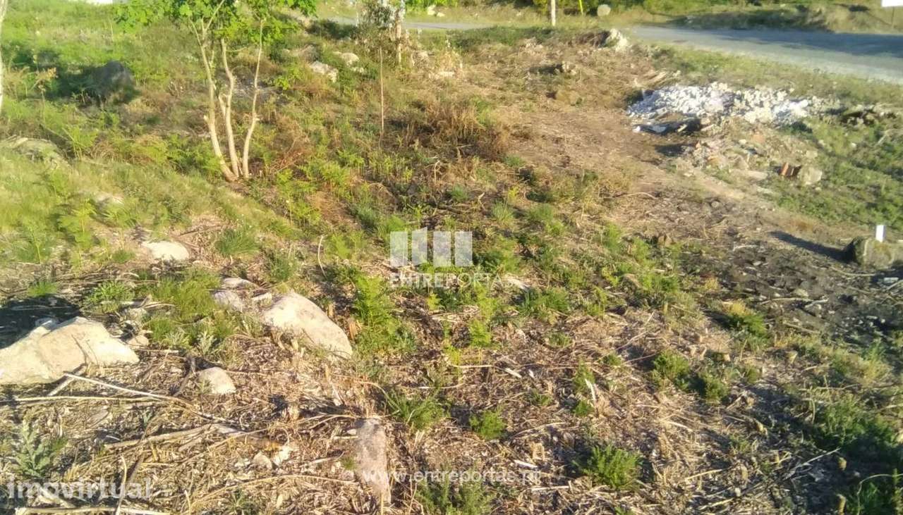 Lote de terreno para venda, Loivo, Vila Nova de Cerveira - Grande imagem: 5/8