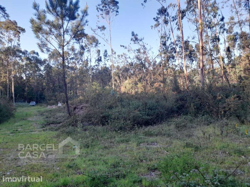 Terreno industrial em Vila Chã - Esposende - Grande imagem: 4/9