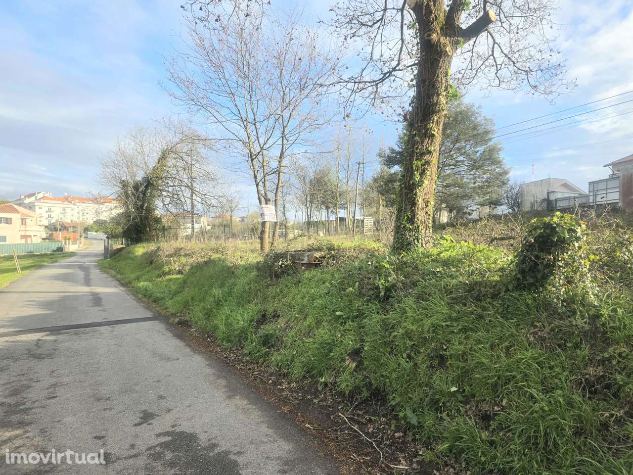 Terreno para construção  1 ou 2 moradias em Oiã Oliveira do Bairro - Grande imagem: 3/7
