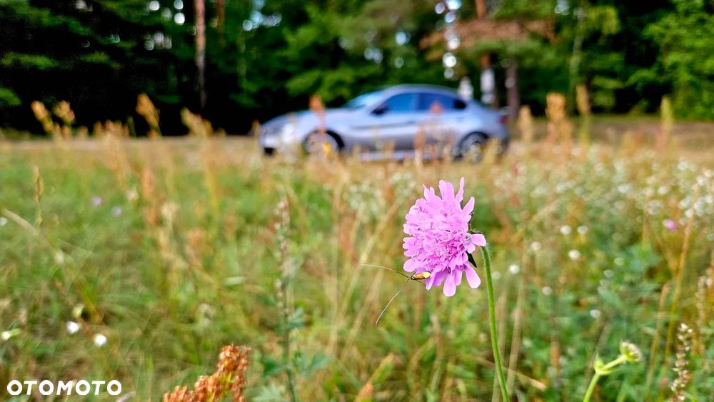 Alfa Romeo Giulia 2.0 Turbo Veloce Q4 - 25
